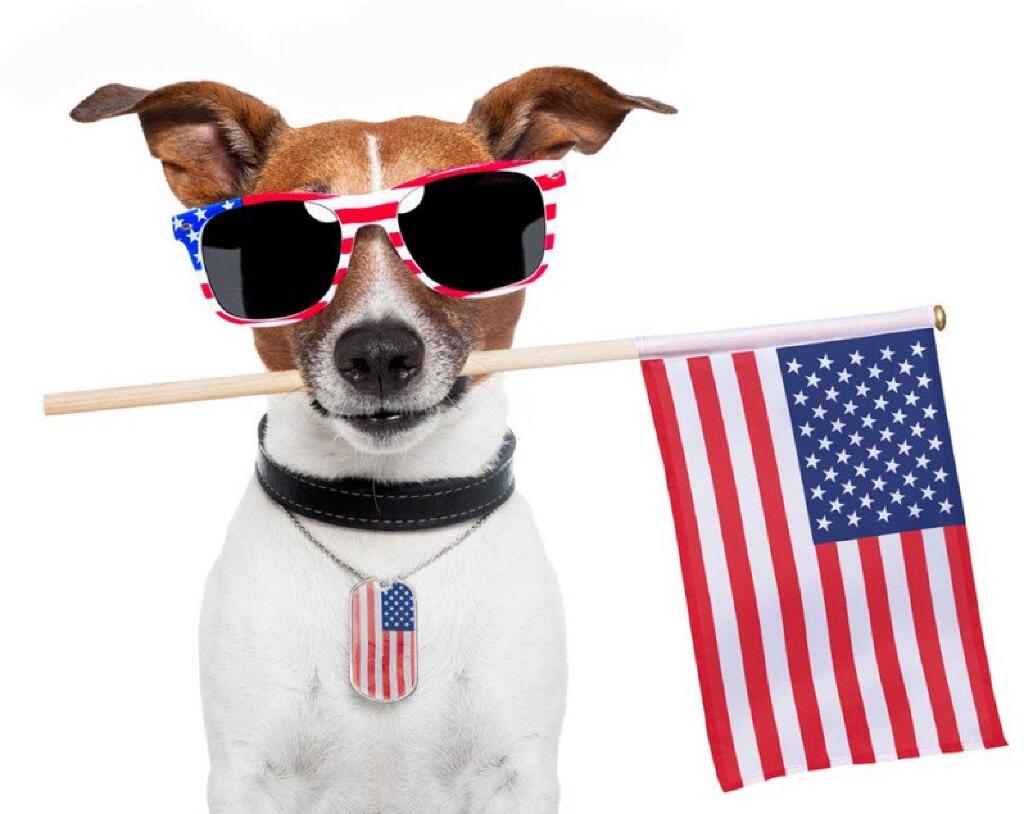 Happy 4th of July from Twin City Discount Granite